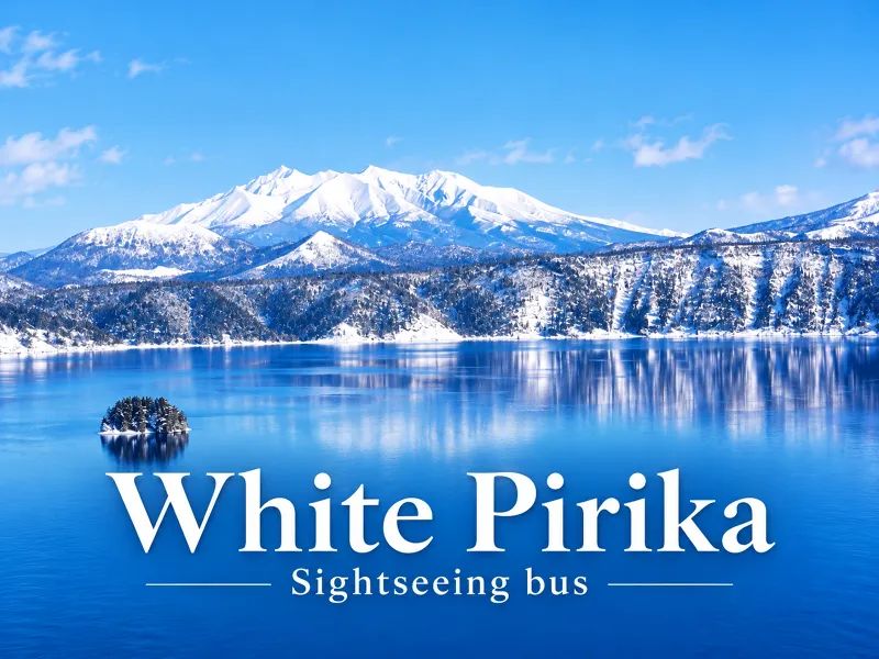 【Guided Sightseeing Bus Tour】White Pirika-go — Operating Daily from ...